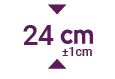24